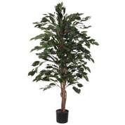Artificial Plant - Ficus benjamina - MICA